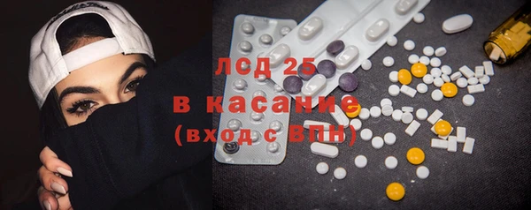 ПСИЛОЦИБИНОВЫЕ ГРИБЫ Арсеньев