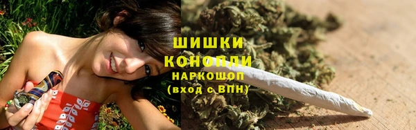 ПСИЛОЦИБИНОВЫЕ ГРИБЫ Арсеньев