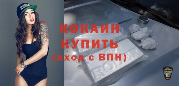 ПСИЛОЦИБИНОВЫЕ ГРИБЫ Арсеньев