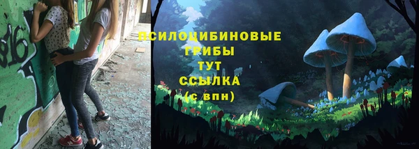 дурь Армянск