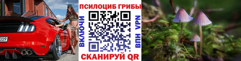 Псилоцибиновые грибы GOLDEN TEACHER  Острогожск 